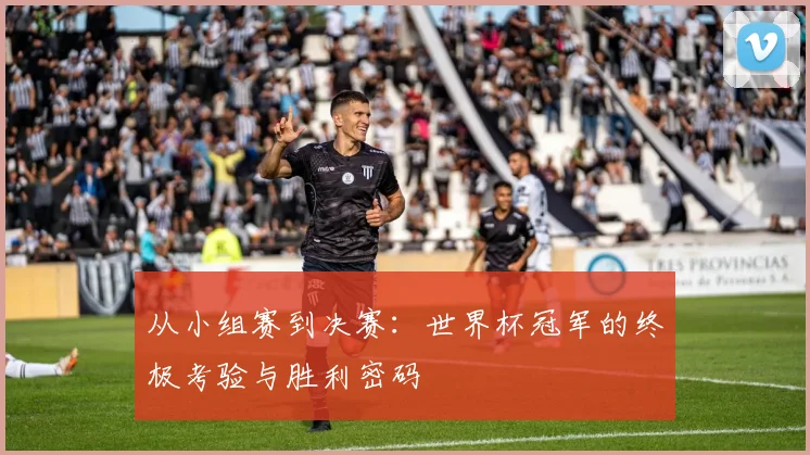 从小组赛到决赛：世界杯冠军的终极考验与胜利密码