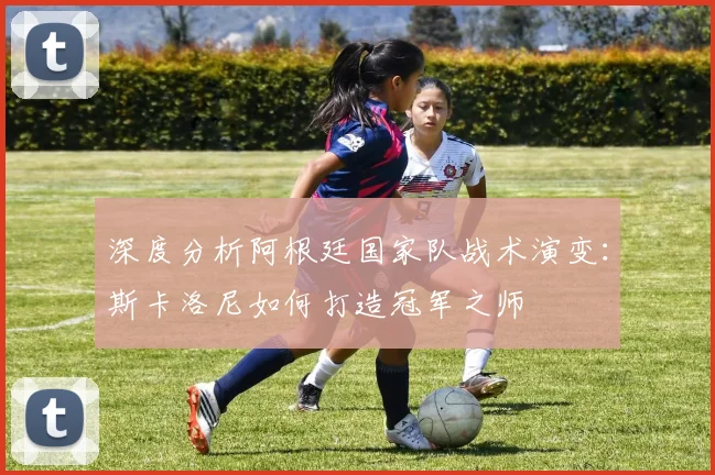 深度分析阿根廷国家队战术演变：斯卡洛尼如何打造冠军之师