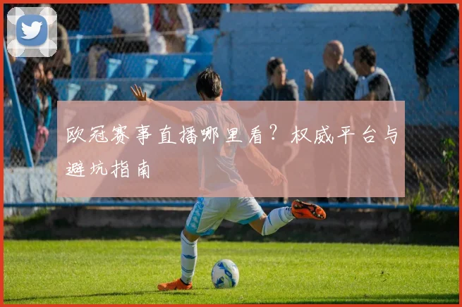 欧冠赛事直播哪里看？权威平台与避坑指南