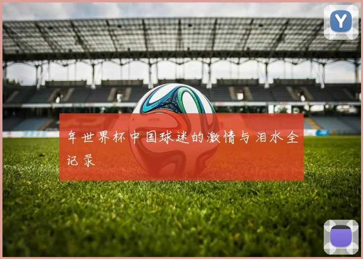 年世界杯中国球迷的激情与泪水全记录