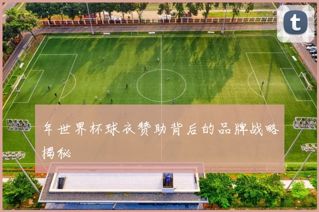 年世界杯球衣赞助背后的品牌战略揭秘