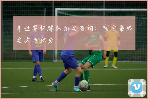 年世界杯球队排名查询：官方最终名次与积分