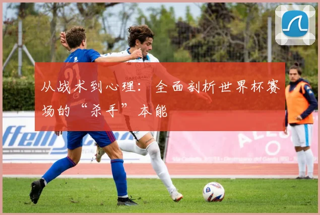 从战术到心理：全面剖析世界杯赛场的“杀手”本能