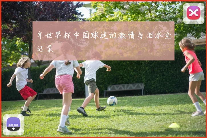 年世界杯中国球迷的激情与泪水全记录