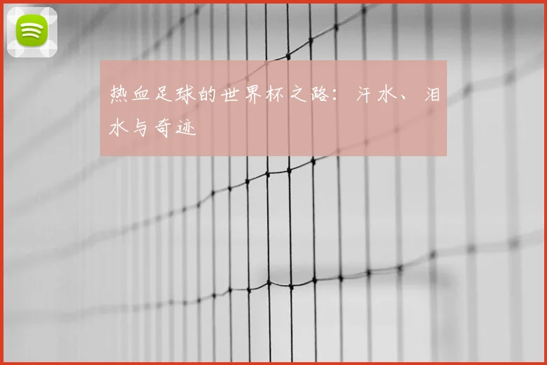 热血足球的世界杯之路:汗水、泪水与奇迹