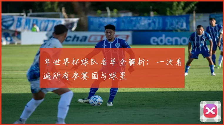 年世界杯球队名单全解析：一次看遍所有参赛国与球星