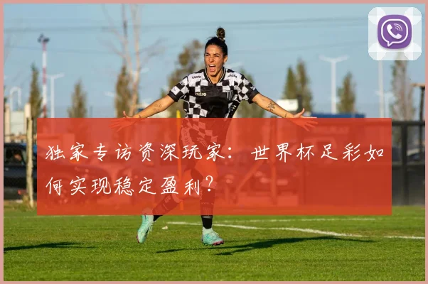 独家专访资深玩家：世界杯足彩如何实现稳定盈利？