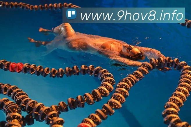 九游体育官方平台APP 封面图